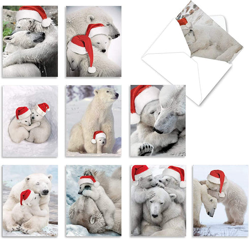 The Best Card Company Variety Pack of 10 Christmas Greeting Cards with Envelopes, Humor Holiday Assortment for Men and Women (10 Designs, 1 Each) - Bear Hugs AM6327XSG-B1x10