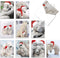 The Best Card Company Variety Pack of 10 Christmas Greeting Cards with Envelopes, Humor Holiday Assortment for Men and Women (10 Designs, 1 Each) - Bear Hugs AM6327XSG-B1x10