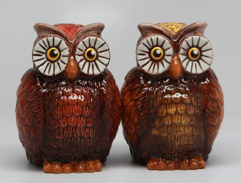 Pacific Trading Owls Ceramic Salt and Pepper Shaker Set