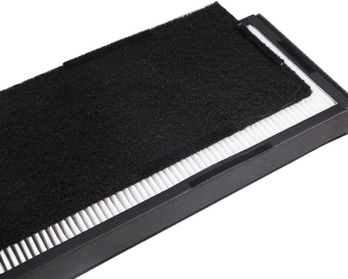 Hongfa Replacement Guardian AC4825E Filter Parts. 2 Filter and 8 Carbon Pre-Filters for FLT4825 FLT4800 AC4300 AC4800 AC4900 AC4900CA AC4825 AC4825e AC4850PT