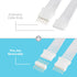 Litcessory Extension Cable for Philips Hue Lightstrip Plus (3.3ft, 1 Pack, White - MICRO 6-PIN V4)