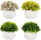 FOURBF 4 Packs Artificial Mini Potted Plants Plastic Faux Topiary Shrubs Fake Plant Flower for Room Office Desk Decoration