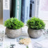 THE BLOOM TIMES 2 Pcs Fake Plants for Bathroom/Home Office Decor, Small Artificial Faux Greenery for House Decorations (Potted Plants)