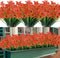 20 Bundles Artificial Outdoor Flowers UV Resistant Fake Flowers No Fade Faux Plastic Greenery Shrubs Garden Porch Window Box Decorating(Orange)