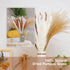 Pampas Grass, 65Pcs Natural Dried Pampas Grass Decor With 20Pcs Cream White Pampas Grass& 20Pcs Brown Pampas&25Pcs Pompous Grass,17.5"Bouquet For Dried Flowers Decor And Flower Arrangements Home Decor