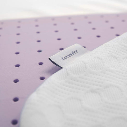 SensorPEDIC Lavender Bed Pillow, Standard (Pack of 1), White/Purple