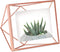 Umbra Prisma Picture Frame, 4 x 6 Photo Display for Desk or Wall, Copper