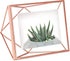 Umbra Prisma Picture Frame, 4 x 6 Photo Display for Desk or Wall, Copper