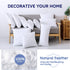 DOWNCOOL 100% Cotton Stuffer Throw Pillow Insert, Square Down and Feather Filled Decorative Bed Sofa Insert, 18x18 Inch, White