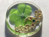 KIN-HEBI Real Four Leaf Clover Good Luck Pocket Token, Preserved, 1.25, Including Metal Ornament (Night Sky)