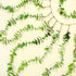 Eucalyptus Hanging Wall Decor Artificial Boho Decor Fake Eucalyptus Vine Decoration for Bathroom Bedroom Farmhouse Nursery House