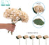 Kimura's Cabin White Silk Hydrangea Flowers Bouquets Faux Hydrangea Stems 3Pcs for Home Wedding Party Table Core Decoration (Ivory)