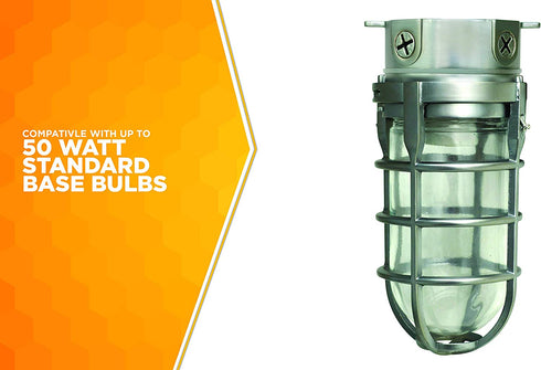 Woods L1706 Vandal Resistant Security Light With Ceiling Mount (150W Incandescent Bulb, Silver)