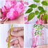 Oslimea 12 Pack 43.3 Feet Artificial Wisteria Vine Rattan Fake Wisteria Hanging Garland Flowers String Silk Wisteria Flower for Christmas Birthday Home Party Wedding Decor, Pink