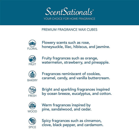 Scentsationals Scented Wax Fragrance Melts - Girlfriend Night - Wax Cubes Pack, Home Warmer Tart, Electric Wickless Candle Bar Air Freshener, Spa Aroma Decor Gift - 2.5 oz (4-Pack)