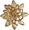Flower Wall Decor 3D Resin Lotus Wall Hanging Decor Art Decor for Home Dedroom Living Room (Gold, L)