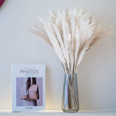 70 Pcs | 35 Pcs White Pampas & 10 Pcs White Bunny Tail & 20 Pcs Reed Grass 5 Pcs White Reed/Natural Dried Pampas Grass for Flower Arrangements Home Decor