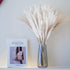 70 Pcs | 35 Pcs White Pampas & 10 Pcs White Bunny Tail & 20 Pcs Reed Grass 5 Pcs White Reed/Natural Dried Pampas Grass for Flower Arrangements Home Decor