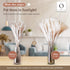70 Pcs | 35 Pcs White Pampas & 10 Pcs White Bunny Tail & 20 Pcs Reed Grass 5 Pcs White Reed/Natural Dried Pampas Grass for Flower Arrangements Home Decor