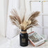 lulute Pampas Grass-Natural Pampas Grass Decor-Pompous Grass 17.9" Tall-Dried Pampas Grass for Boho Decor-Fluffy pompous Floral for Pampas Grass vase-Natural Bouquet of Dried Flowers and Grasses