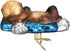 Old World Christmas Water Animals Glass Blown Ornaments for Christmas Tree,Sea Otter