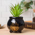 Silver Buffalo Harry Potter House Crest Decorative Artificial Faux Greenery Plant in Ceramic