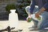 Roundup For Lawns Concentrate (Southern) - 32oz