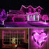 ER CHEN Outdoor Solar String Lights, 99Ft 300LEDs 8 Modes Fairy Lights with RF Remote, Waterproof Copper Wire Lights for Party, Patio, Garden, Yard (Pink)