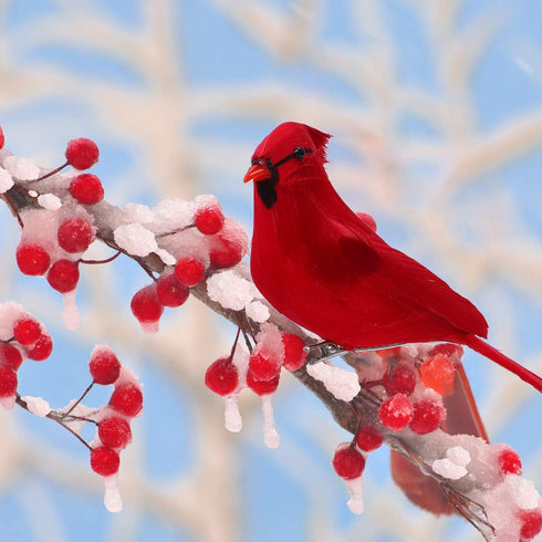 ANECO 6 Packs Artificial Cardinal Red Bird 5.5 Inch Christmas Clip-on Cardinal Christmas Tree Wreath Ornament Decorations