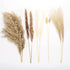 65 Pcs Dried Pampas Grass Decor Tall Fluffy,Natural Air Drying Pompous Grass for Dried Flowers Arrangements,Pampas Grass Large,Boho Decor Pompas Floral,Wedding,Party Living Room Home Decor