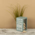 Primitives by Kathy 27813 House Decor Sea Shell Holder, 4.25 x 7.25 x 4.25-Inches, Piece of the Beach With Me