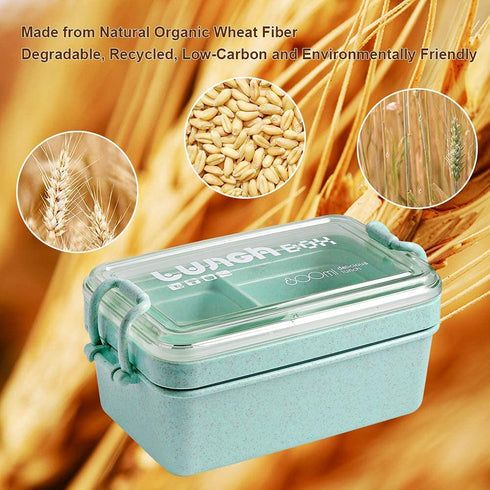 Iteryn Stackable Bento Lunch Box, Eco-Friendly Wheat Fibre Bento Box for Kids Adult, 2 Layer 3 Compartment Lunch Containers, Microwave Safe - Green