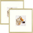 Golden State Art, Gold 8x8 Picture Frame - Displays Photo 4x4 with Mat or 8x8 inch Without Mat - Shatter-Resistant Glass Aluminum Photo Frame for Wall or Tabletop Display (2 Pack)
