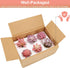 Remittur Set of 6 Artificial Succulents in Ceramic Pots, Pink Fake Succulent Plants for Bedroom Decor, Small Succulents Plants Artificial Fake Plant Decor, Mini Desk Plant for Home Decor (Pink)
