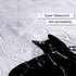 DESIHOM Funny Cat Shower Curtain Animal Black and White Shower Curtain Cartoon Fun Novelty Shower Curtain Polyester 72x72 Inch