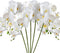 HinyoCo 5 Pcs Artificial Phalaenopsis Flowers Artificial Orchid Flowers 32 Inch Stem Plants for Home Wedding Decoration
