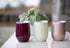 350mL, Double Wall Vacuum Insulated, Wine Tumbler, Stainless Steel, Splash Proof Lid