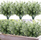 HATOKU 10pcs Artificial Greenery Stems Outdoor Plants, Artificial Plastic Eucalyptus Stems, Fake Greenery for Farmhouse Home Wedding Porch Garden Yard Decor