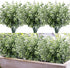 HATOKU 10pcs Artificial Greenery Stems Outdoor Plants, Artificial Plastic Eucalyptus Stems, Fake Greenery for Farmhouse Home Wedding Porch Garden Yard Decor