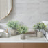 ODOM Artificial Plants, 3Pcs Small Fake Plants for Bedroom Aesthetic, Faux Eucalyptus Plants for Office Desk Bathroom Farmhouse Home Decorations