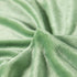 RONGTAI Sherpa Fleece Soft Plush Fluffy Blanket Throw Lightweight Warm Blankets for Winter?Grass Green-Twin?60" x 80"?