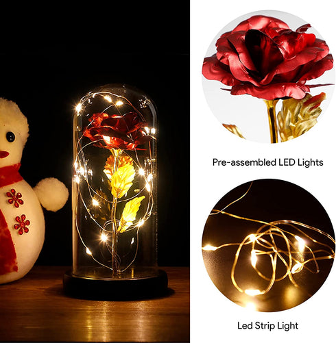 Roses Gift for Her, Birthday Gifts for Women Mom,, Rainbow Rose in Glass Dome with LED Light, Unique Love Gifts for Mom,Wife, Gift for Mothers Day,Valentines Gifts for Girlfriend
