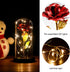Roses Gift for Her, Birthday Gifts for Women Mom,, Rainbow Rose in Glass Dome with LED Light, Unique Love Gifts for Mom,Wife, Gift for Mothers Day,Valentines Gifts for Girlfriend