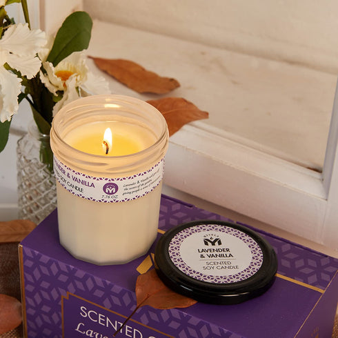Scented Candle Gifts for Women, Lavender & Vanilla Soy Candle for Home Scented and Home D©cor in Kitchen,Bathroom, Spa,2 Pack Holiday Candles for Christmas, Mother Day, Birthday