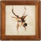 icheesday 10x10 Wooden Picture Frames, Rustic Square Photo Frame Made of Solid Wood and Plexiglass for Wall Hanging And Table Standing (Brown)