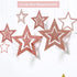Rose Gold Birthday Party Decorations, Happy Birthday Banner, Rose Gold Fringe Curtain, Heart Star Foil Confetti Balloons, Hanging Swirls for Women Girls Birthday Princess Party