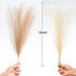 Leerui Faux Pampas Grass, Set of 6 Stems Large Tall 17'' Artificial Fake Flowers,Artificial Pampas Grass Vase-Dried Pampas Grass-Pompous Grass Branches Large