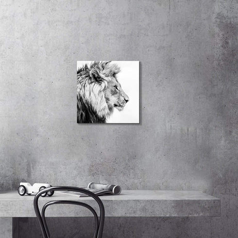Hardy Gallery Lion Art Wall Decor Picture: Wildlife Portrait Graphic Artwork Print Painting on Wrapped Canvas (12''x12'')