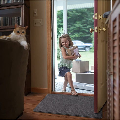 DEXI Door Mat Indoor Rug Inside Front Entrance Non-Slip Low Profile Washable for Entryway 19.5"x31.5",Dark Gray