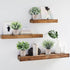 CEWOR 4 Packs Artificial Mini Potted Plants Fake Grey Greenery Eucalyptus Rosemary Boxwood Plastic Centerpiece for Bathroom Shelf Home Office Desk Table Indoor Decor